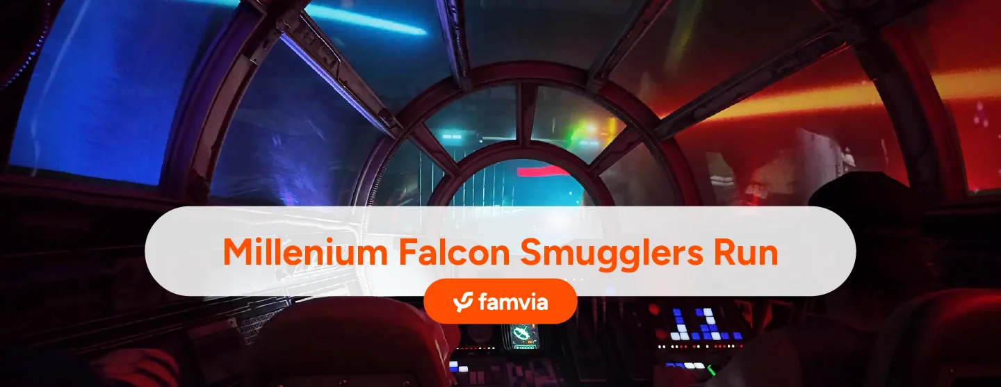 Millenium Falcon Smugglers Run