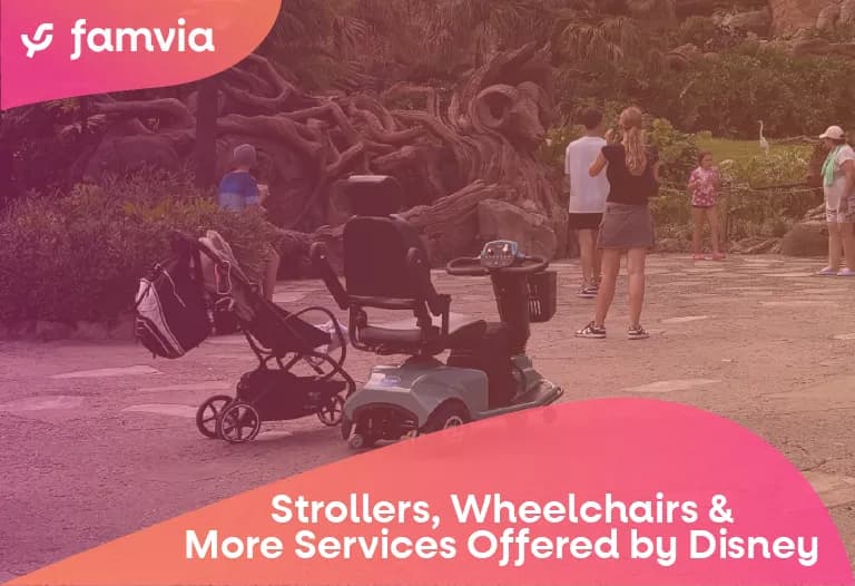 Strollers, Wheelchairs & More Services Offered by Disney
