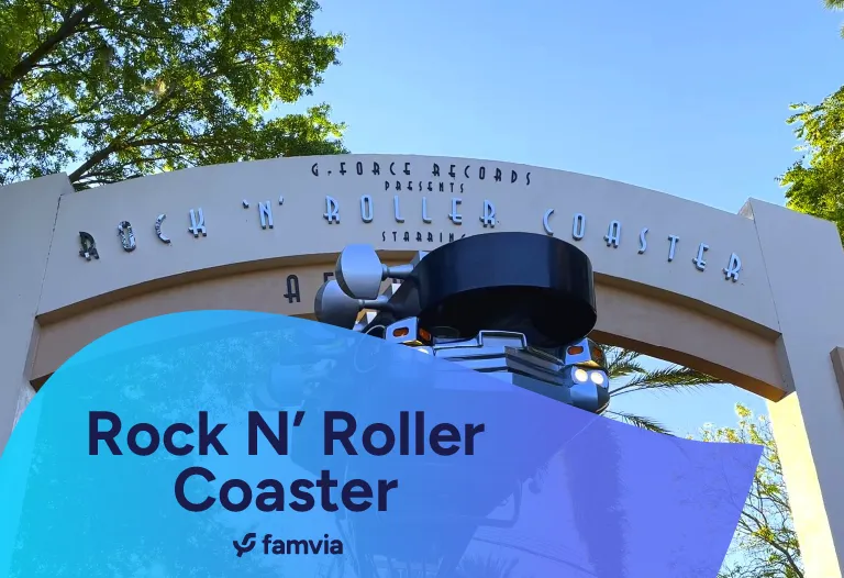Rock N’ Roller Coaster