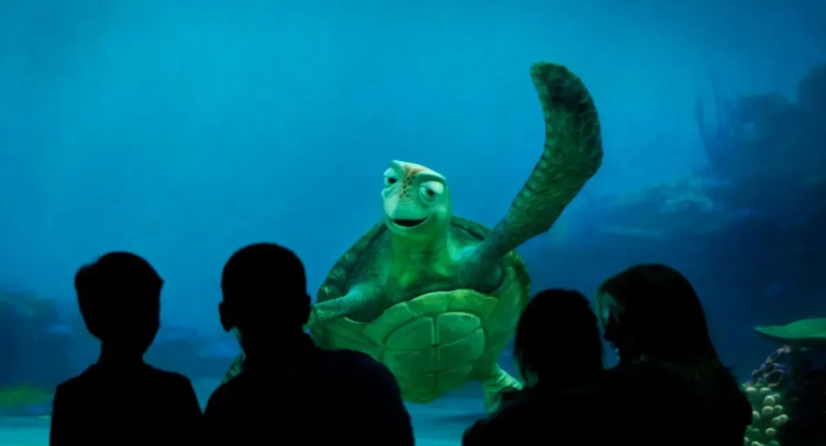 Epcot_Turtle_Talk_Crush_2_3aaeb51dde.webp