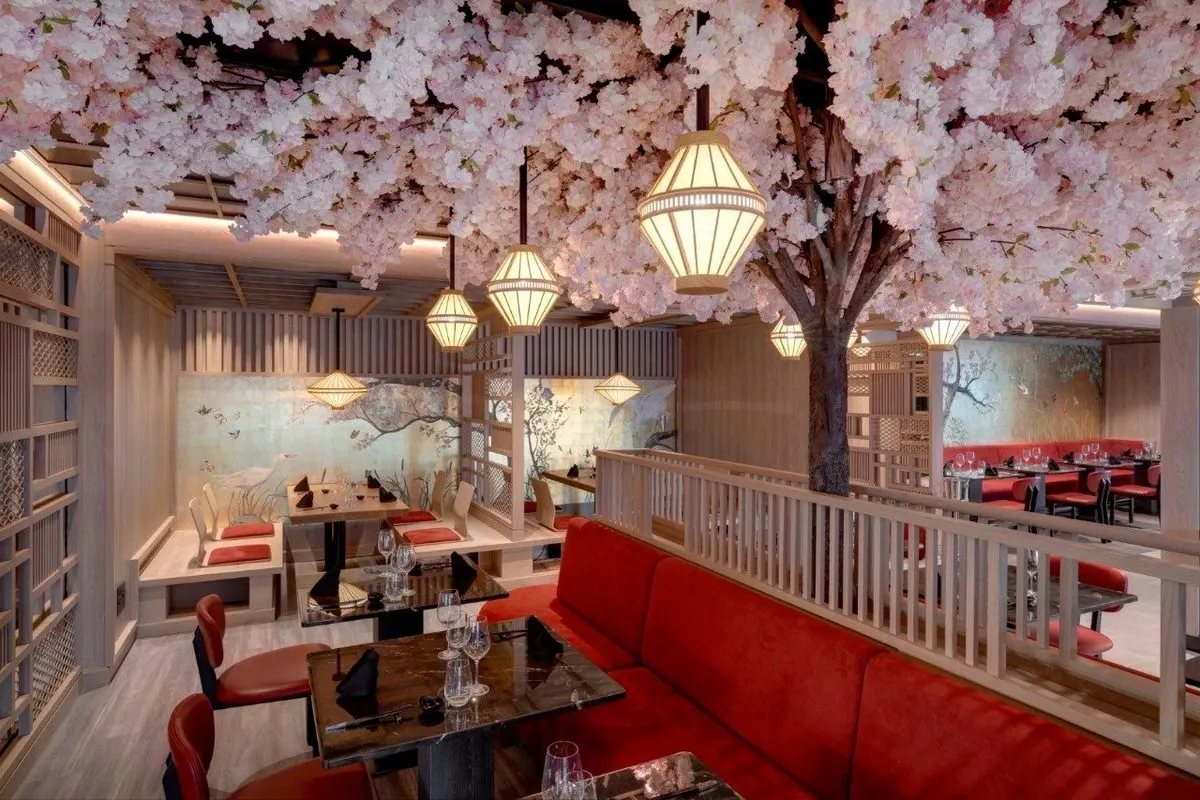 Explora_Journeys_Sakura_restaurant_650f44af81.webp